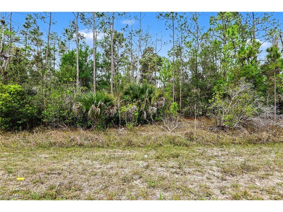 1913 Weller Avenue Lehigh Acres FL 33972 2026011182 image1