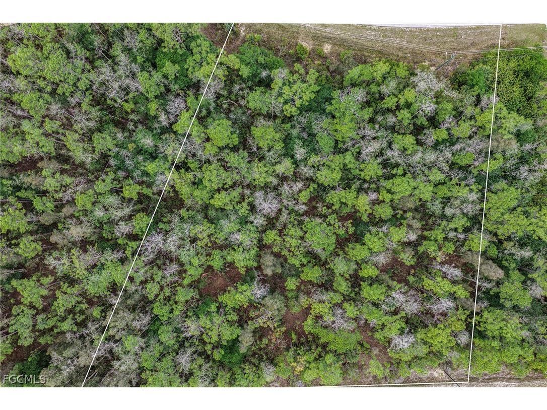 1913 Weller Avenue Lehigh Acres FL 33972 2026011182 image11