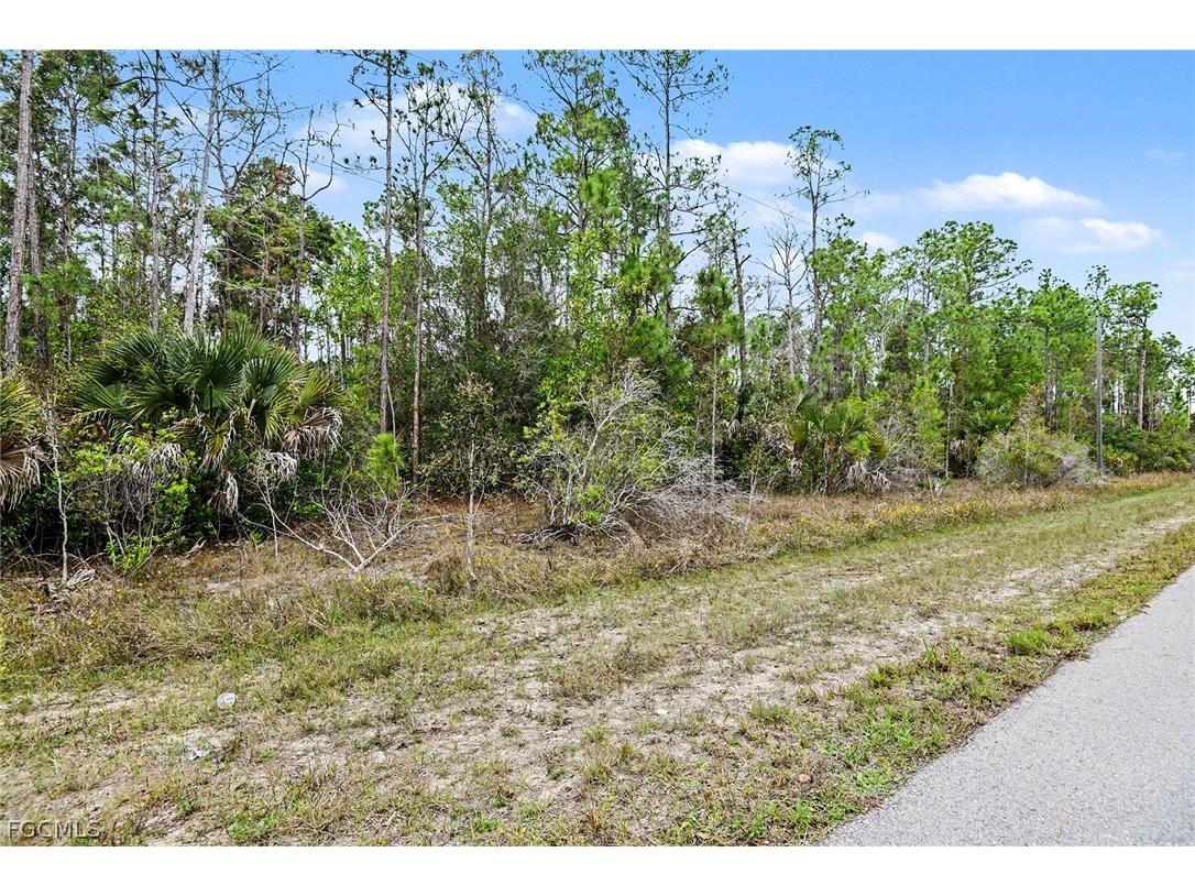 1913 Weller Avenue Lehigh Acres FL 33972 2026011182 image3