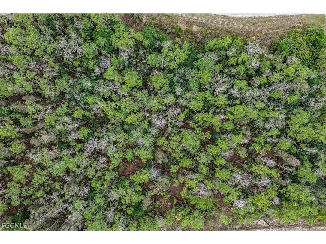 1913 Weller Avenue Lehigh Acres FL 33972 2026011182 image7