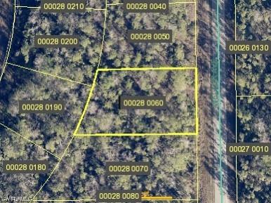 1913 Weller Avenue Lehigh Acres FL 33972 223069219 image1