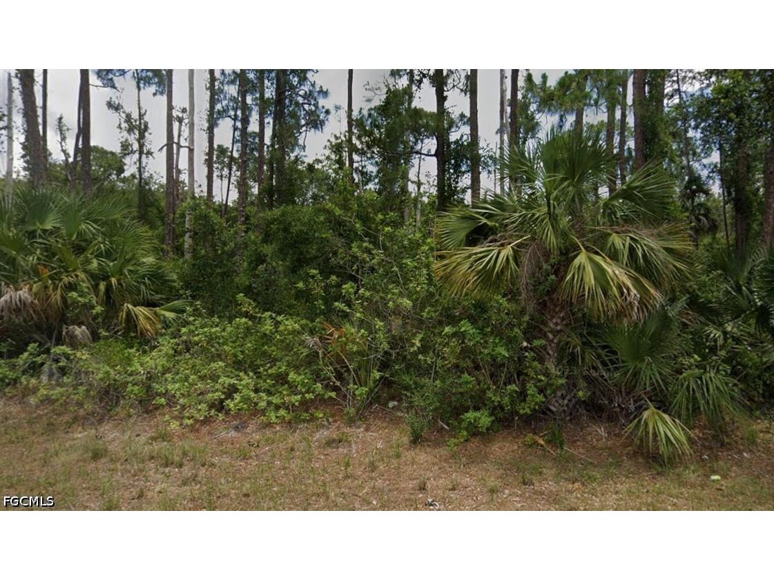 1914 Edward Avenue Lehigh Acres FL 33972 2026017242 image3