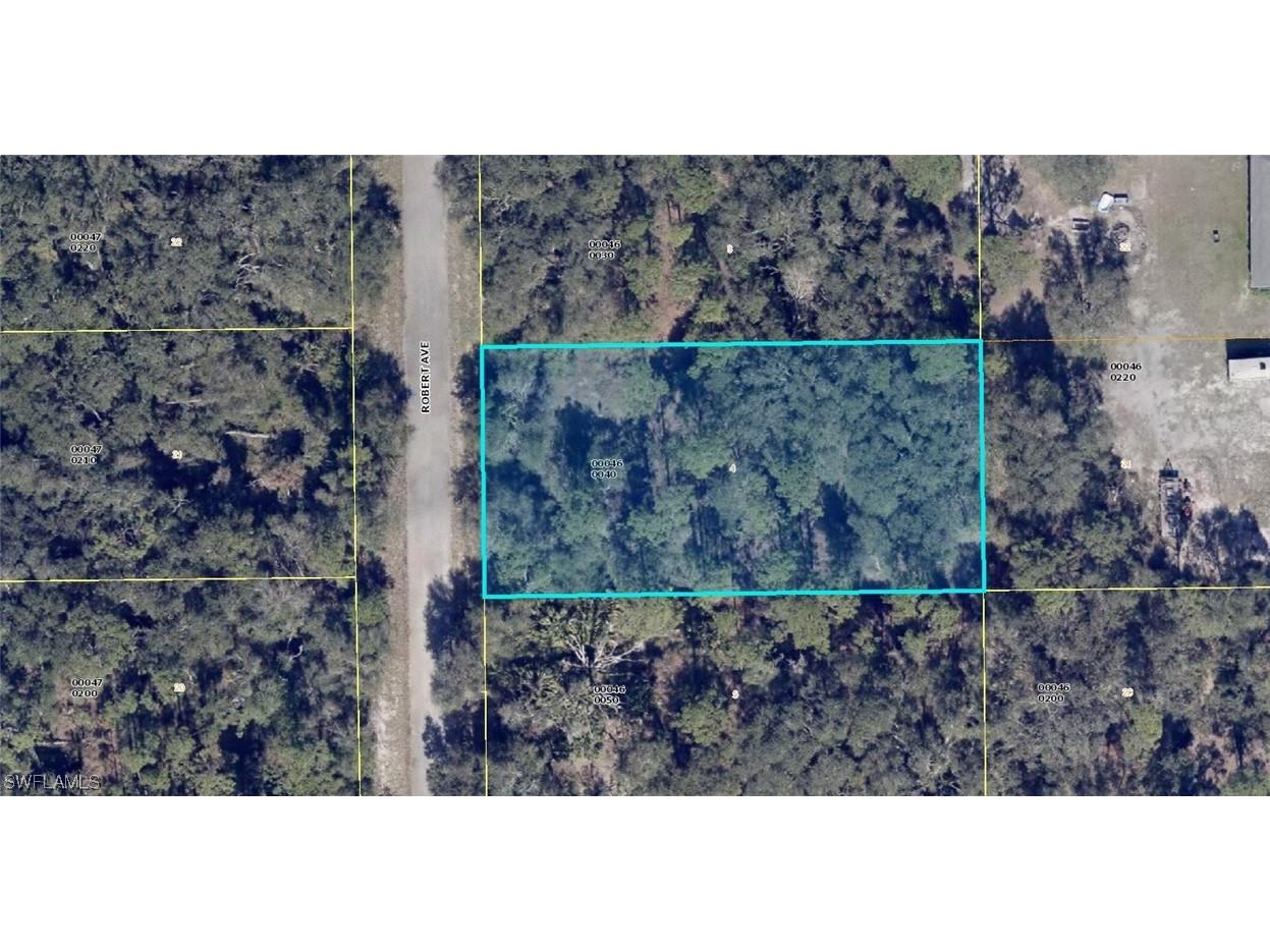 1916 Robert Avenue Lehigh Acres FL 33972 223067234 image1