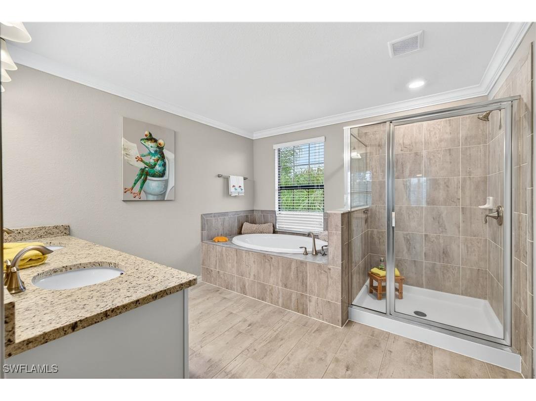 19169 Elston Way Estero FL 33928 225079007 image17