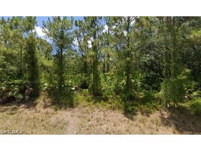 1917 Canton Avenue Lehigh Acres FL 33972 223092453 image1