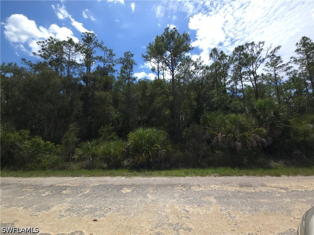 1917 Holyoke Avenue Lehigh Acres FL 33972 226021394 image1