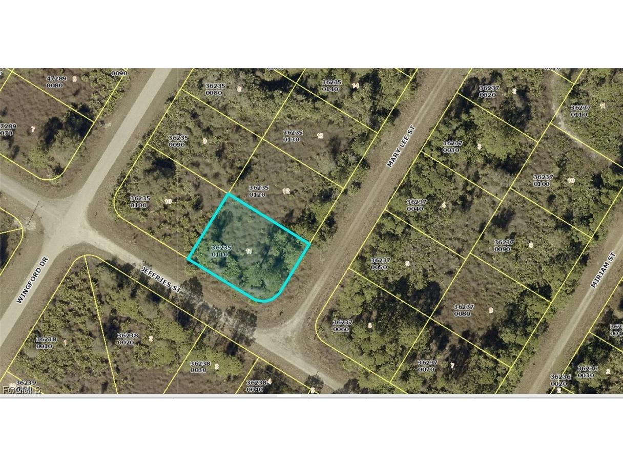 1917 Mary Lee Street Lehigh Acres FL 33972 2025014562 image1