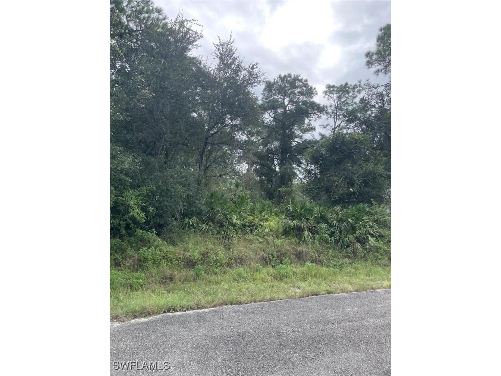 1918 Roosevelt Avenue Lehigh Acres FL 33972 225074762 image1