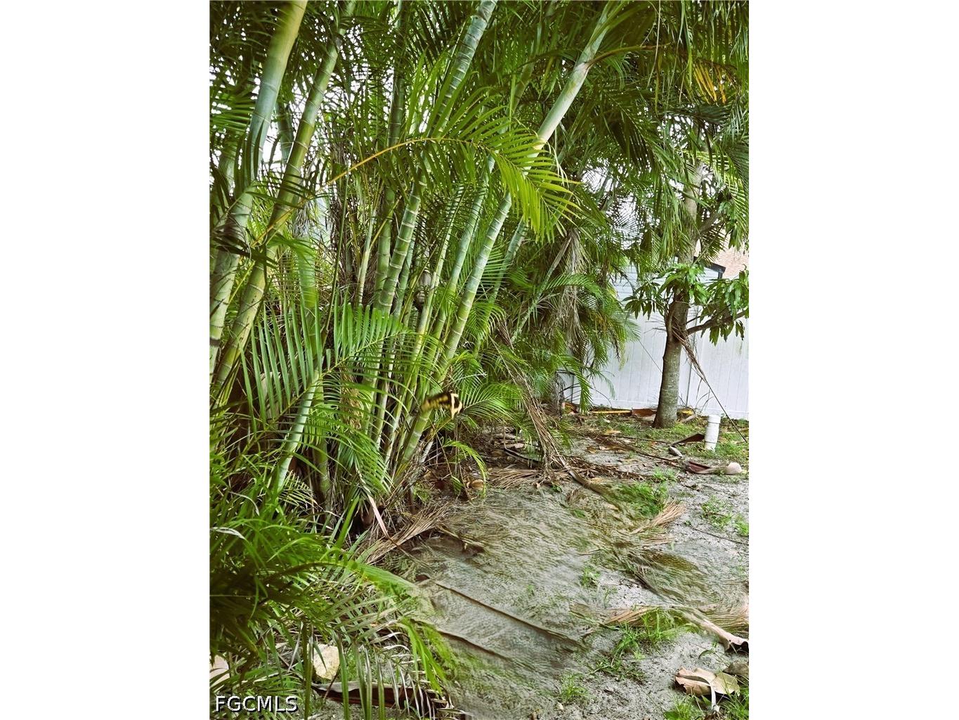 1918 SW 29th Terrace Cape Coral FL 33914 2026016333 image24