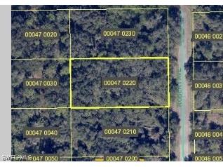 1919 Robert Avenue Lehigh Acres FL 33972 223025303 image1