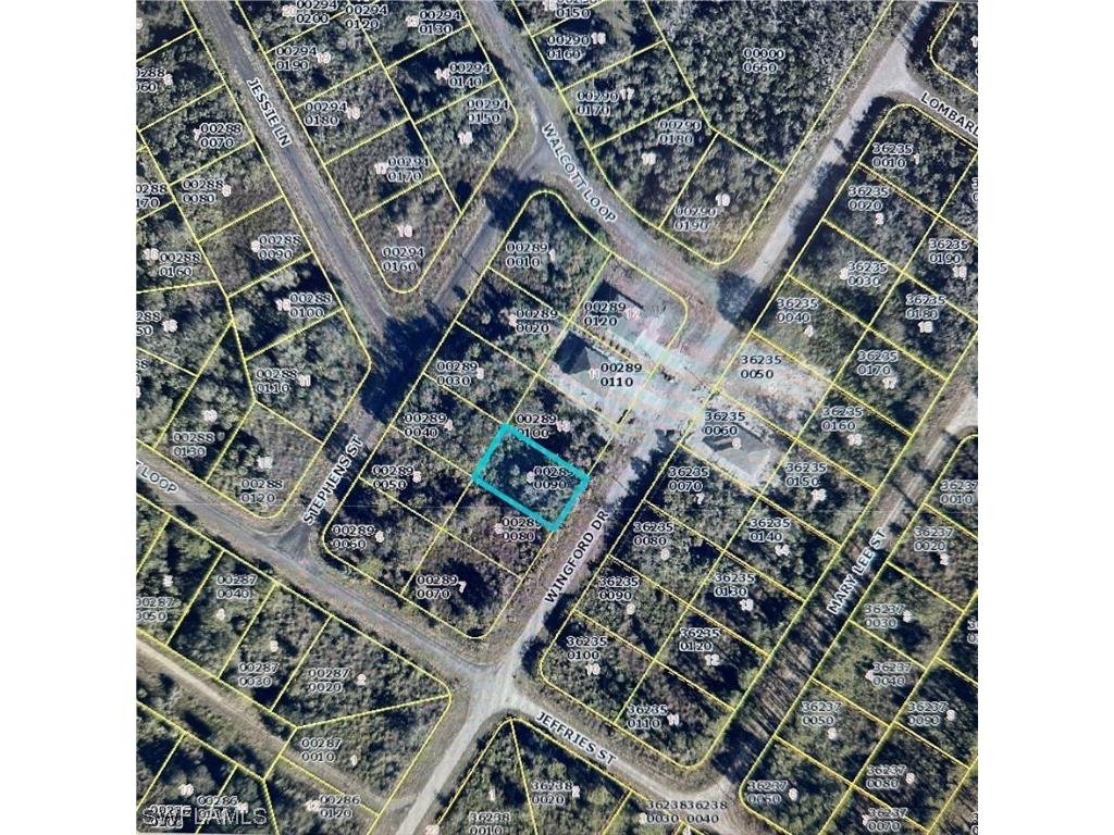 1919 Wingford Drive Lehigh Acres FL 33972 224019194 image1