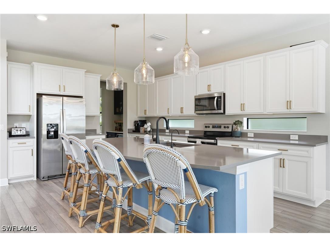 19194 Elston Way Estero FL 33928 226015096 image7