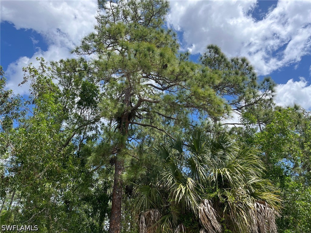 1920 Blue Sage Drive Naples FL 34117 226016422 image11