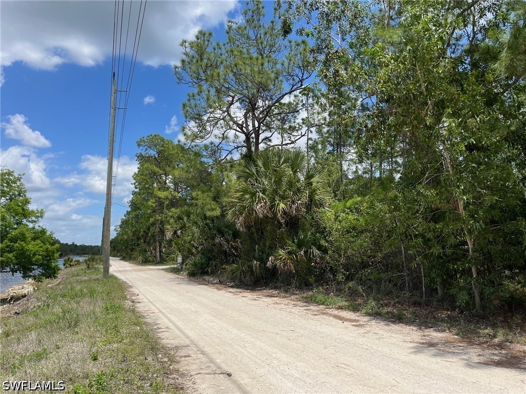 1920 Blue Sage Drive Naples FL 34117 226016422 image13