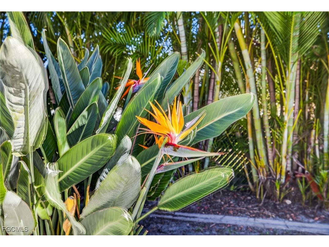 1928 SE 20th Lane Cape Coral FL 33990 2025019451 image41