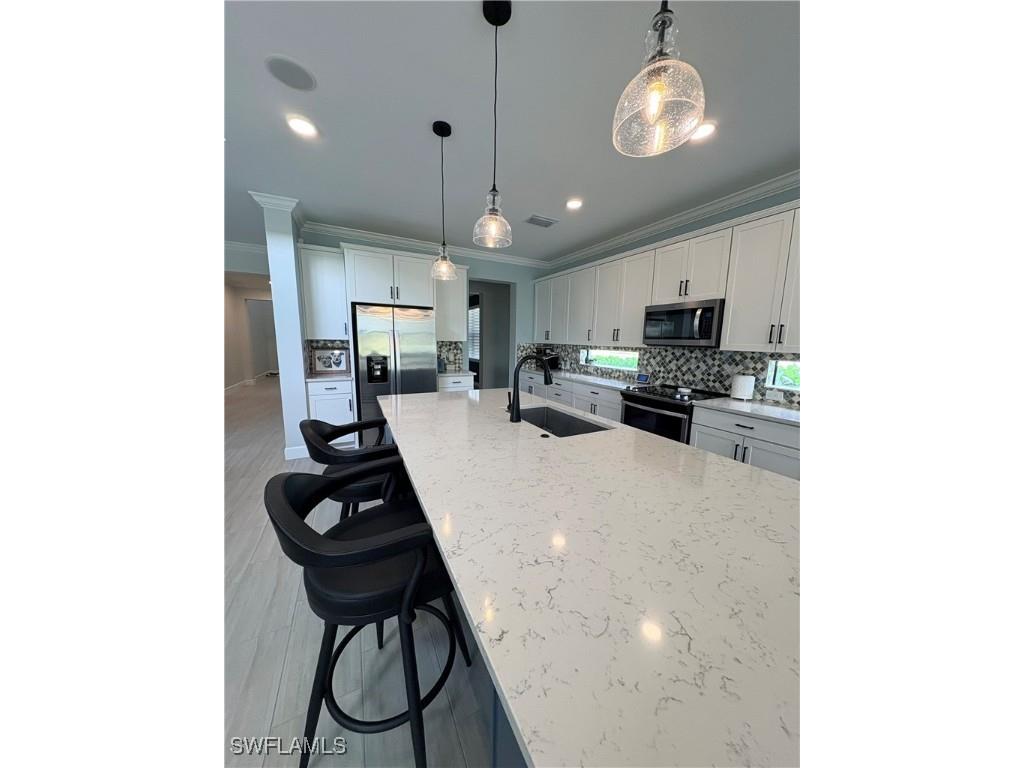 19287 Elston Way Estero FL 33928 225076570 image6