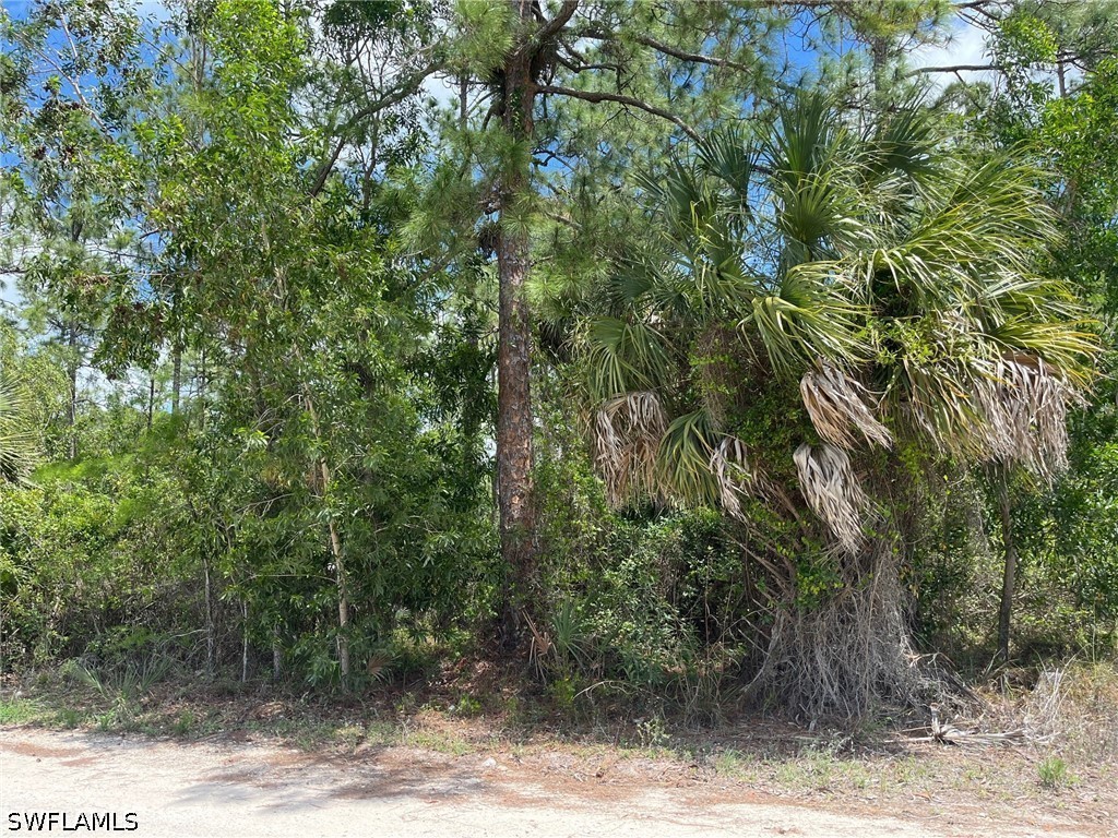 1930 Blue Sage Drive Naples FL 34117 226016611 image10