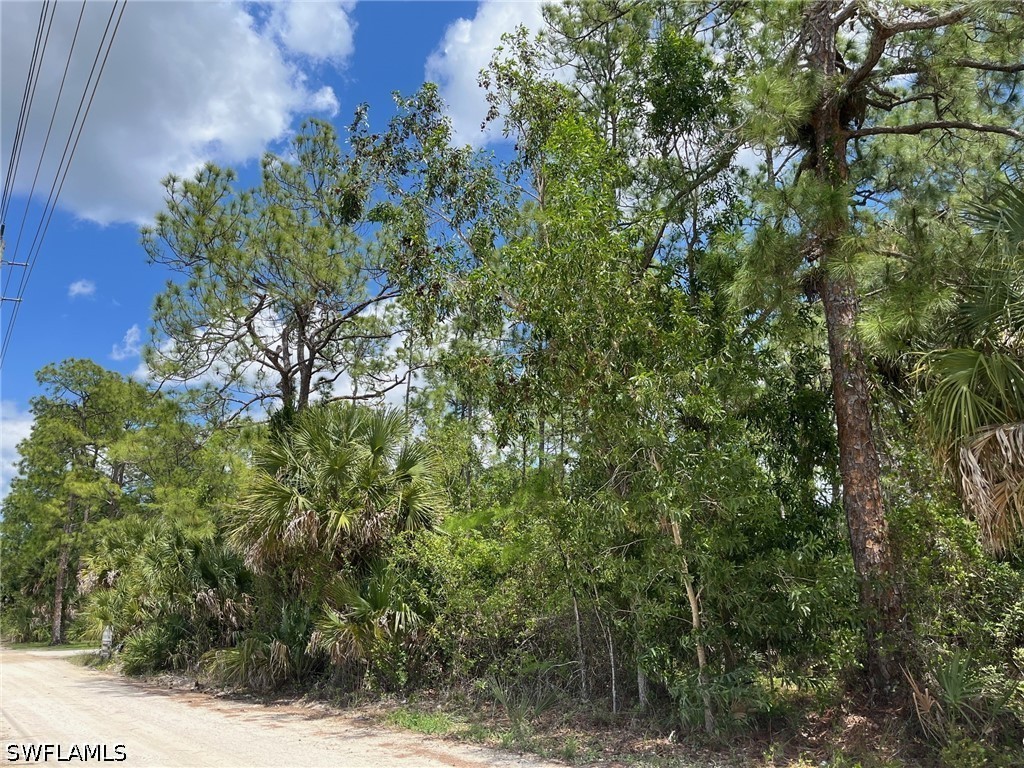 1930 Blue Sage Drive Naples FL 34117 226016611 image12