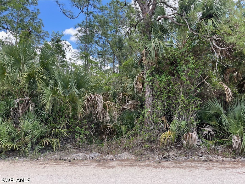 1930 Blue Sage Drive Naples FL 34117 226016611 image14