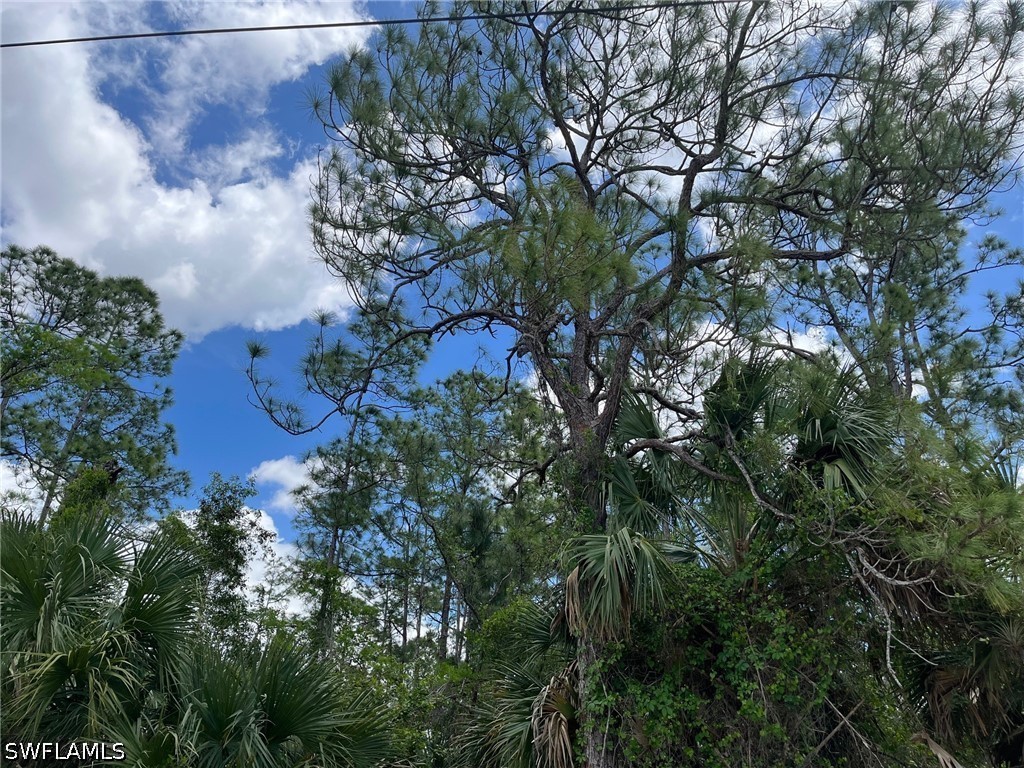1930 Blue Sage Drive Naples FL 34117 226016611 image15