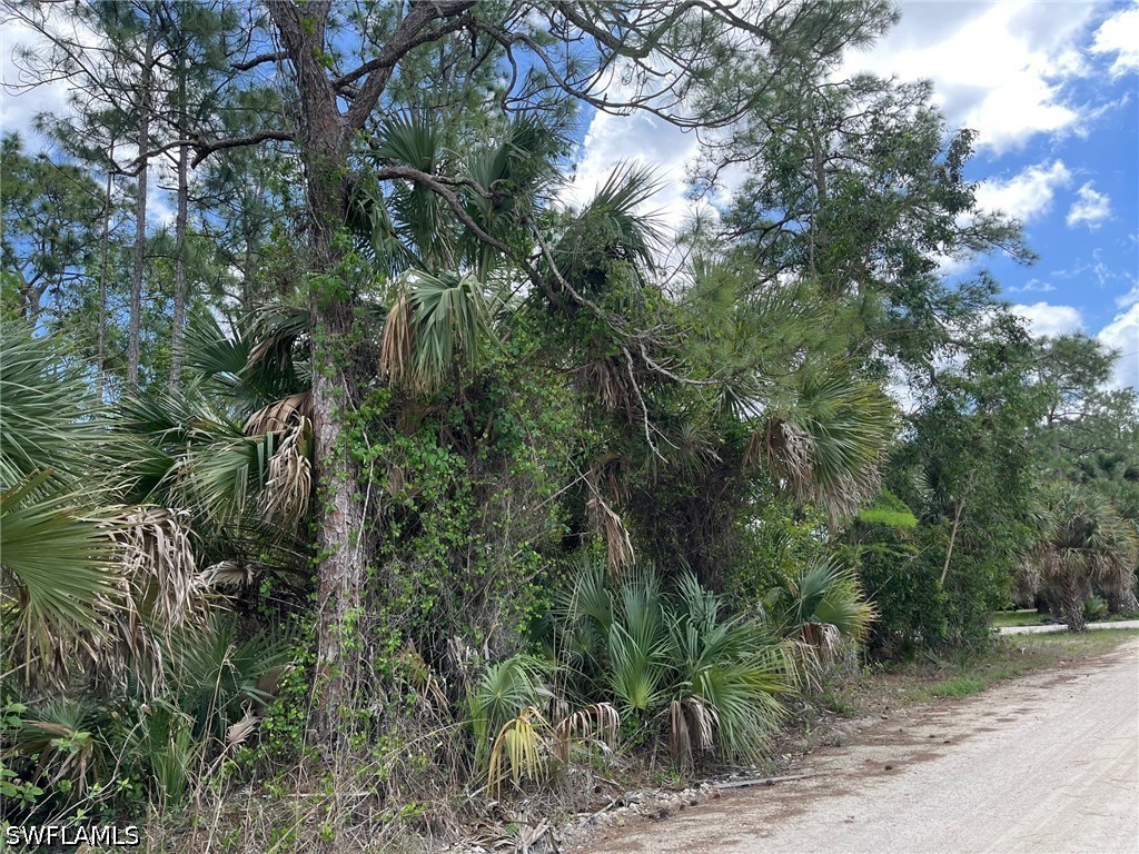 1930 Blue Sage Drive Naples FL 34117 226016611 image16