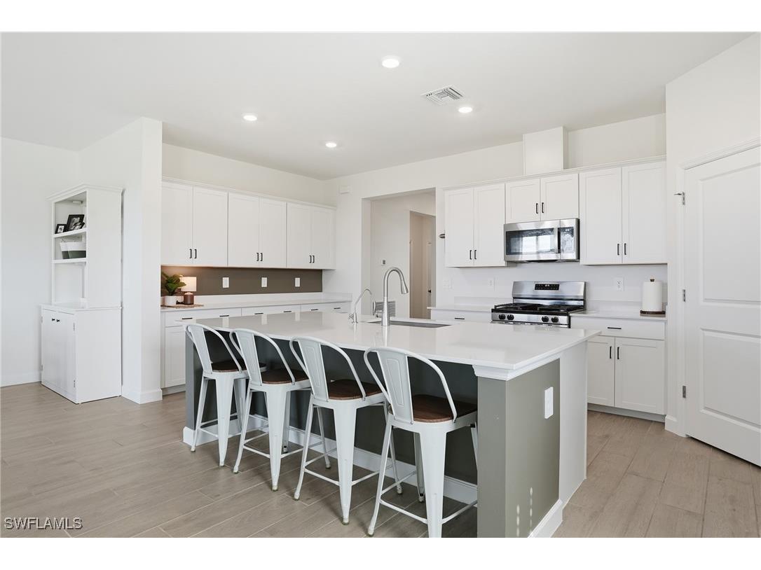 19306 Hinkley Drive Estero FL 33928 225080379 image7