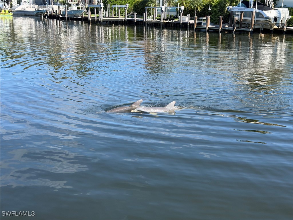 1935 5th Street S Naples FL 34102 225019976 image36