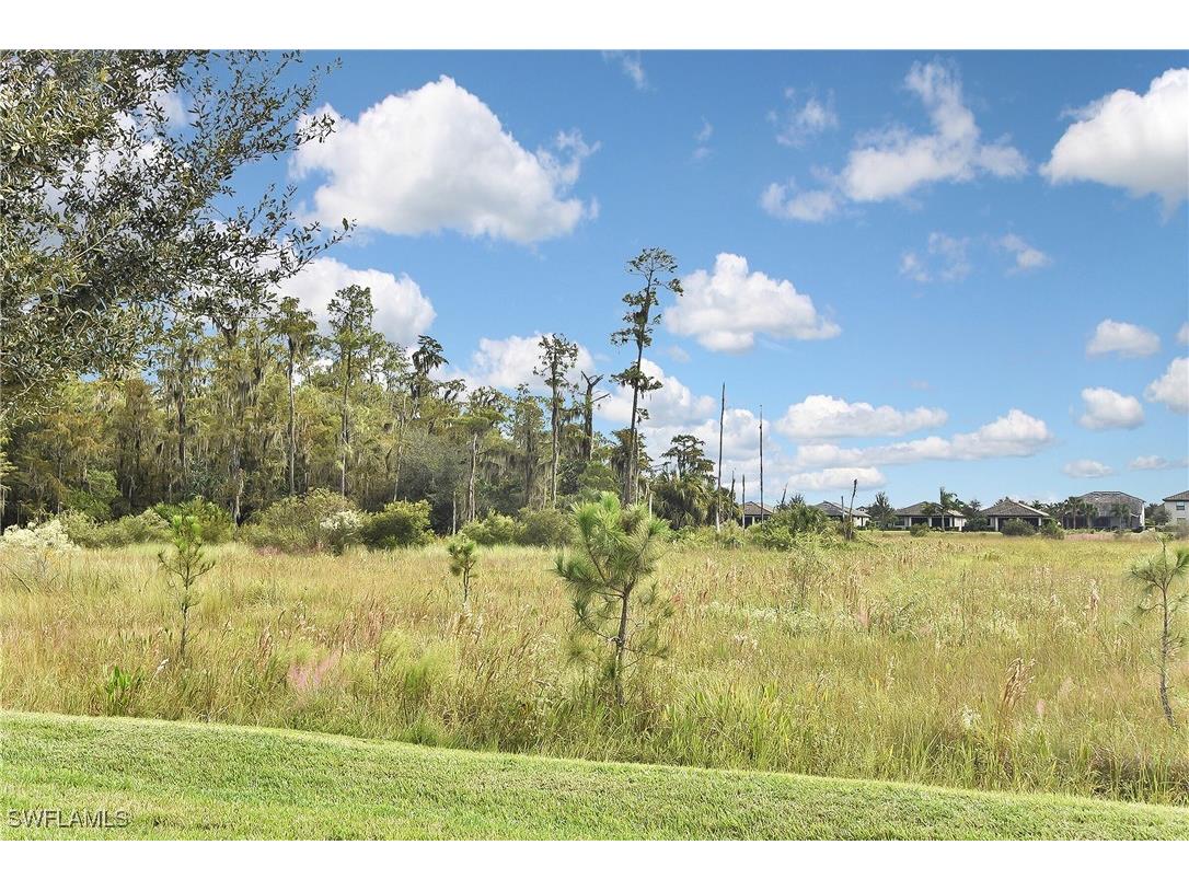 19375 Elston Way Estero FL 33928 225077674 image50