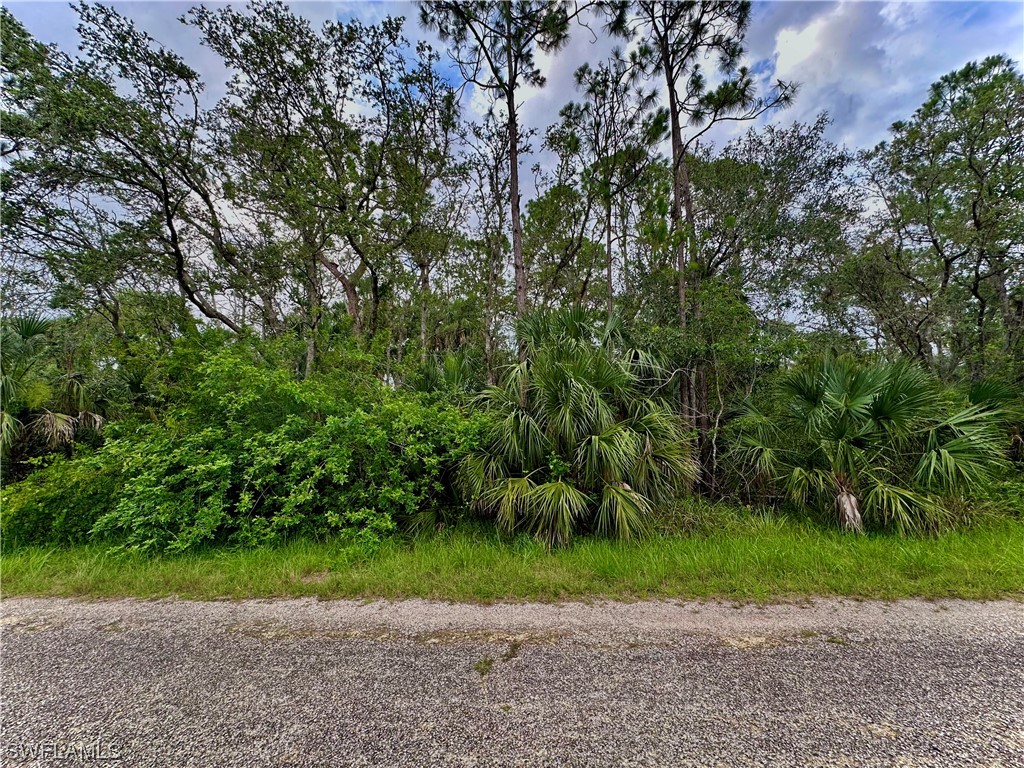 1939 Roderick Lane Lehigh Acres FL 33972 223046220 image1