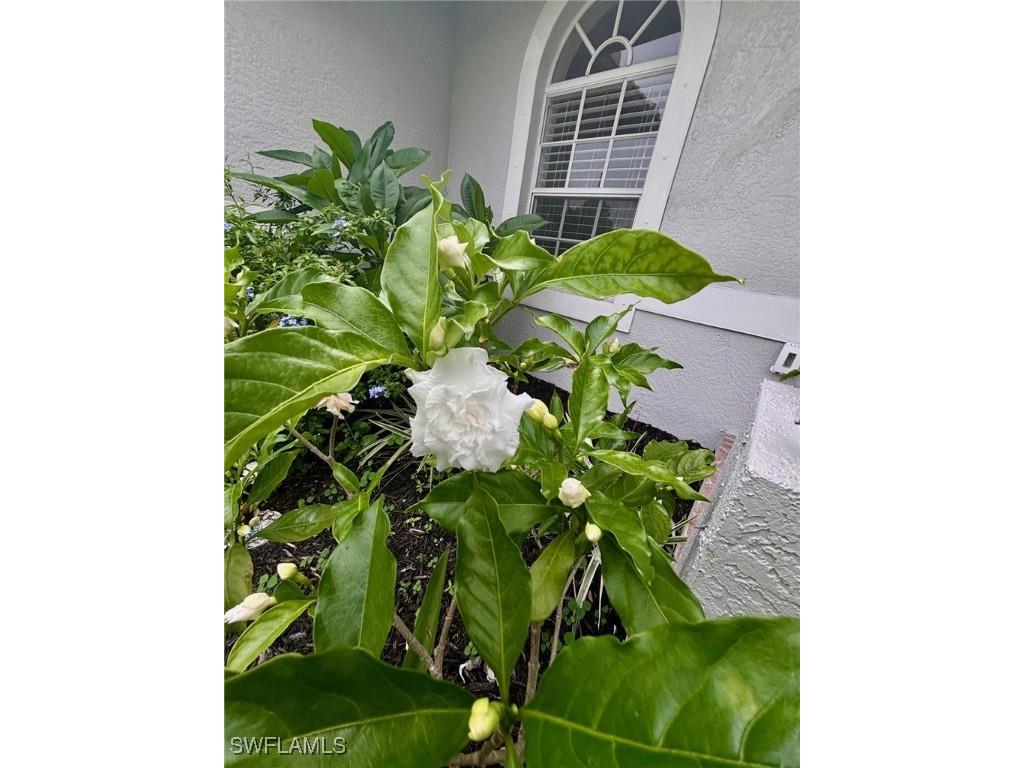 1940 Desoto Boulevard N Naples FL 34120 225065913 image26