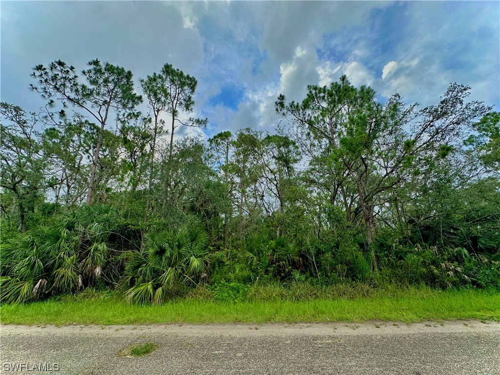 1941 Roderick Lane Lehigh Acres FL 33972 223046191 image1