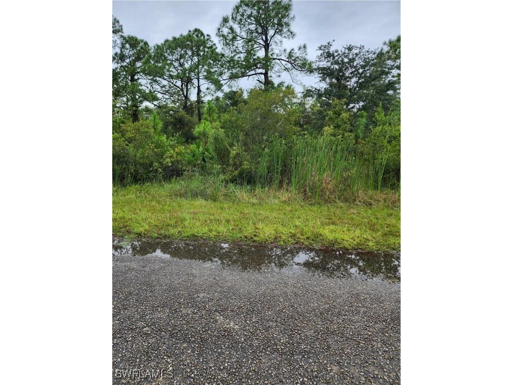 1951 Roderick Lane Lehigh Acres FL 33972 224081829 image1