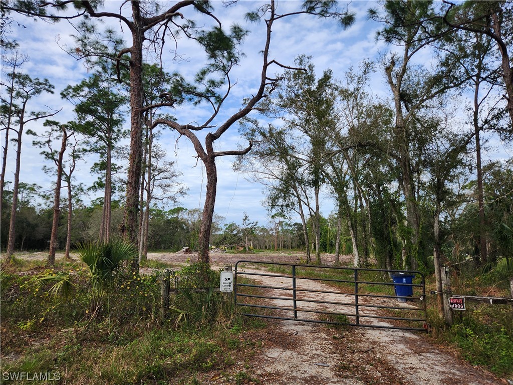 19511 Slater Road North Fort Myers FL 33917 223092384 image1