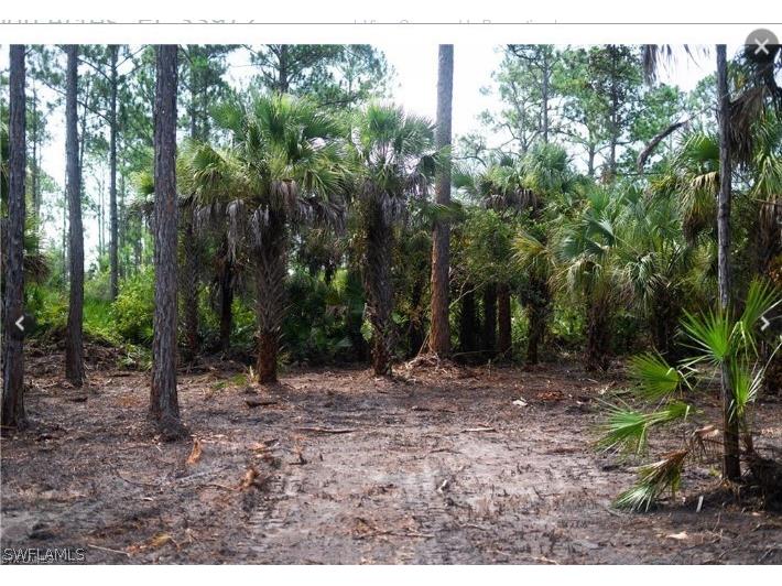 1952 Roderick Lane Lehigh Acres FL 33972 222089235 image1