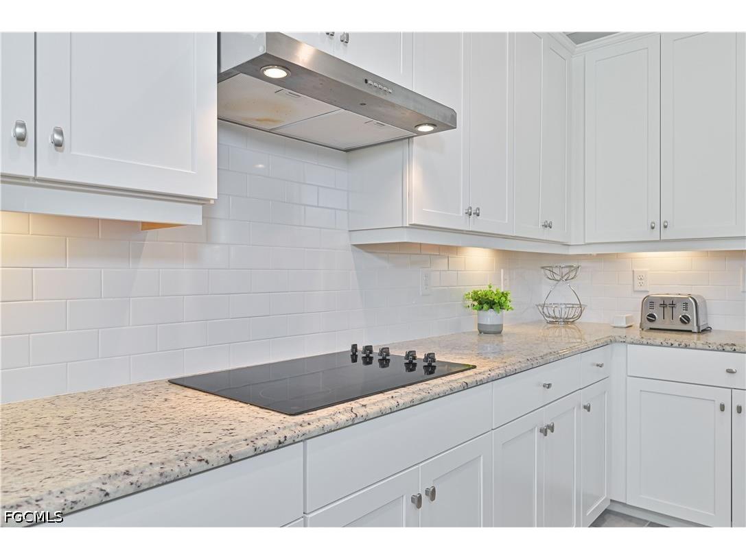19553 The Place Boulevard Estero FL 33928 2026016460 image22