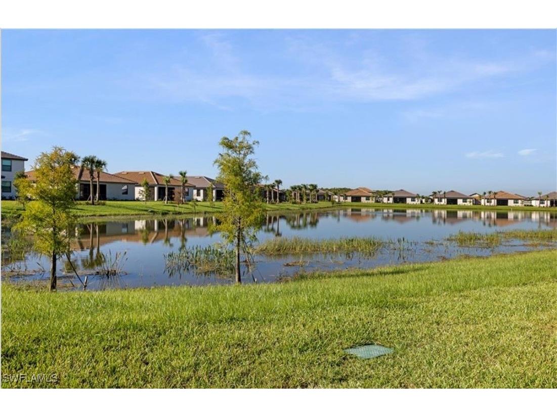 19573 Hinkley Drive Estero FL 33928 225083349 image36