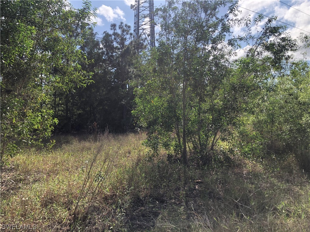 19665 Immokalee Road Naples FL 34120 220069735 image10