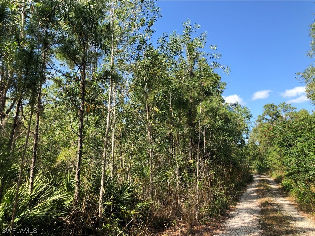 19665 Immokalee Road Naples FL 34120 220069735 image11