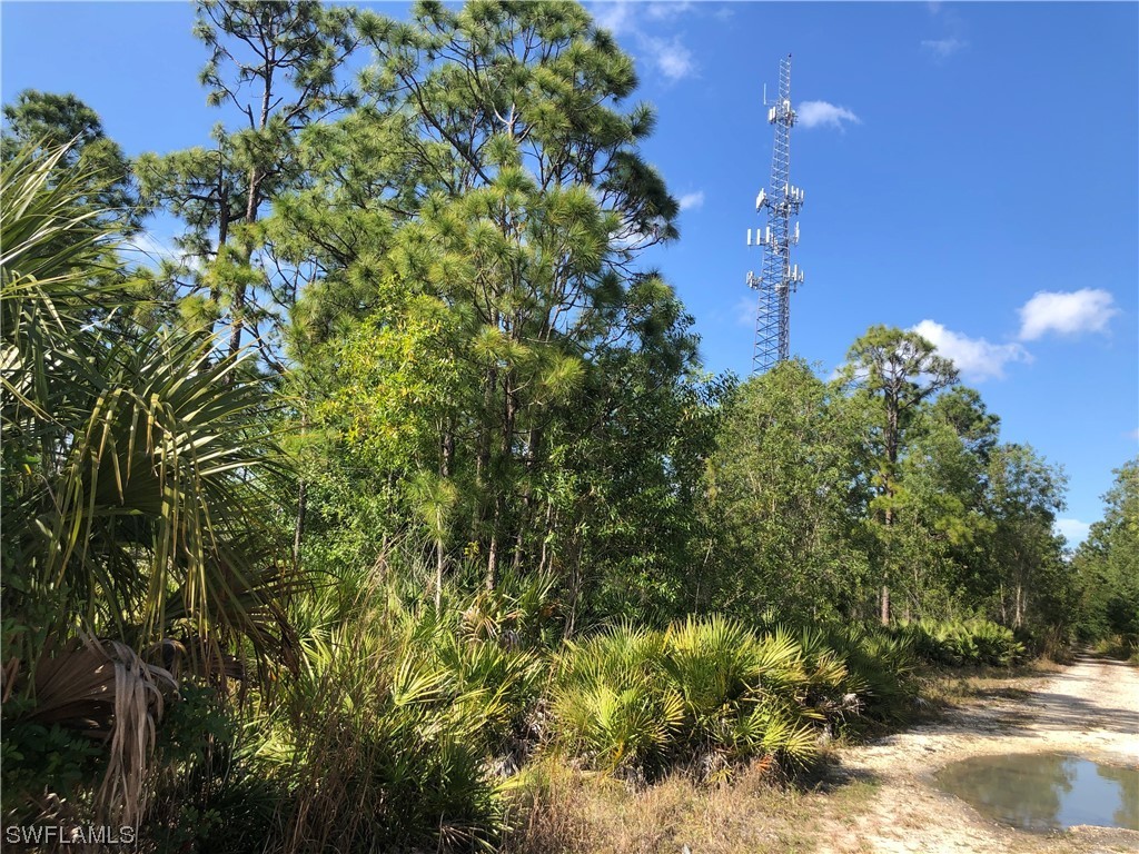 19665 Immokalee Road Naples FL 34120 220069735 image3