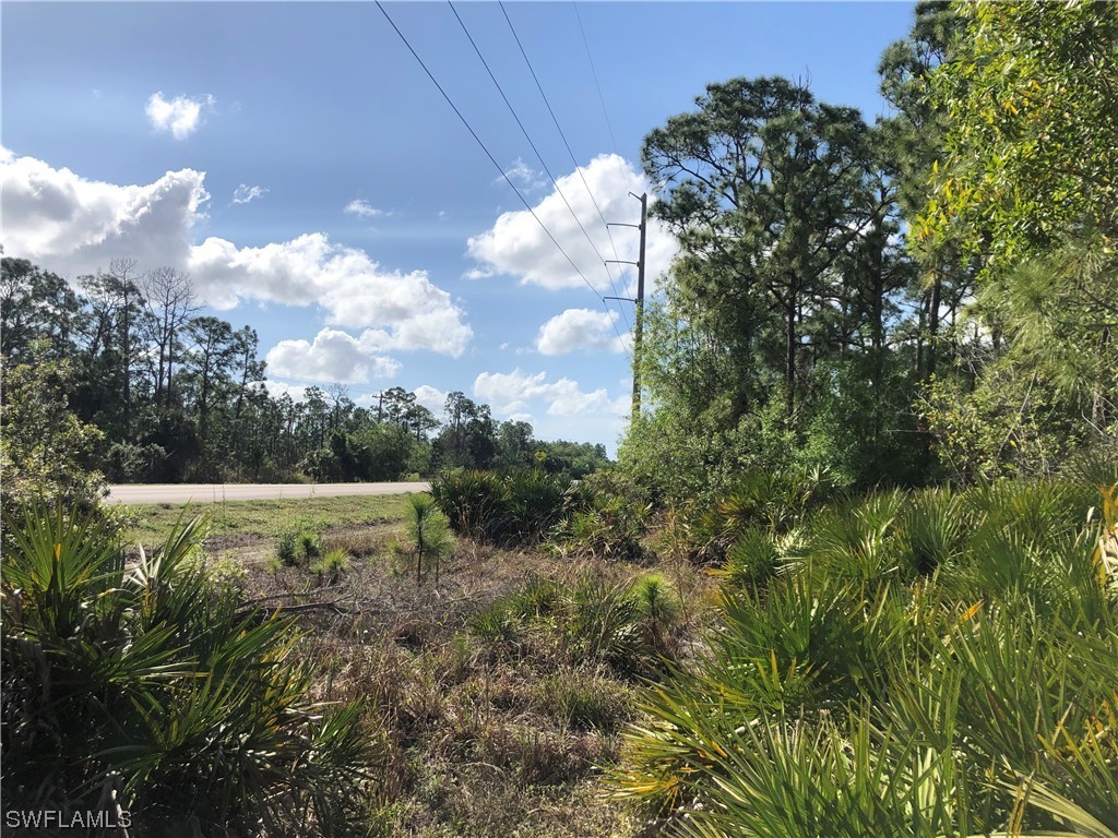 19665 Immokalee Road Naples FL 34120 220069735 image6