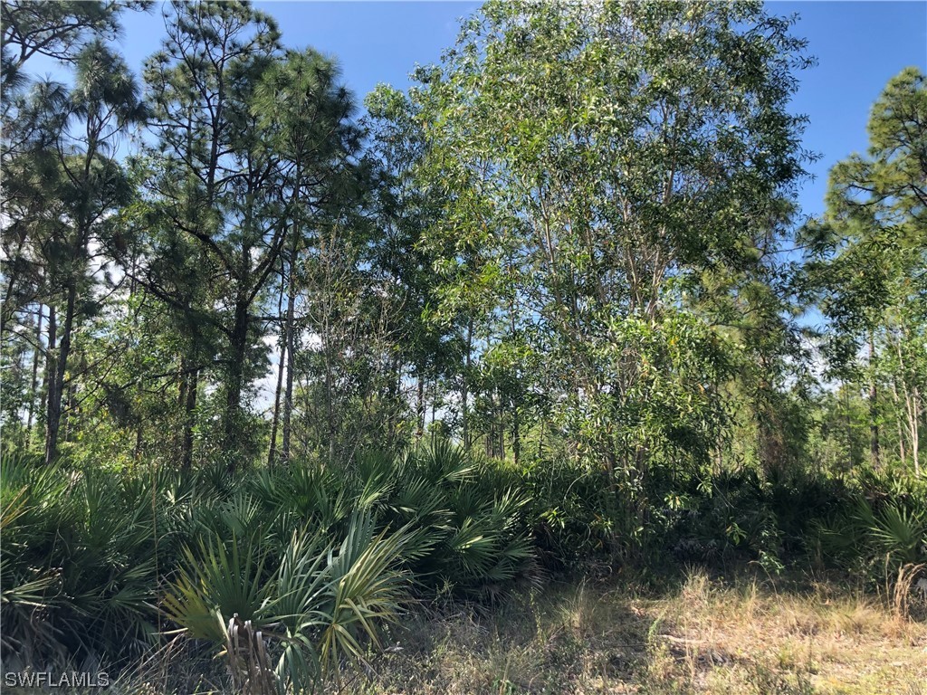 19665 Immokalee Road Naples FL 34120 220069735 image9