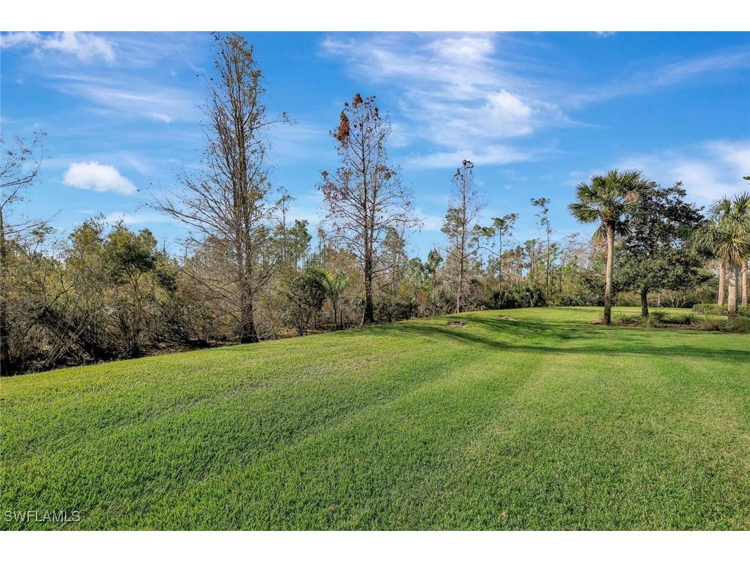 19681 Marino Lake Circle #1502 Miromar Lakes FL 33913 225067828 image25