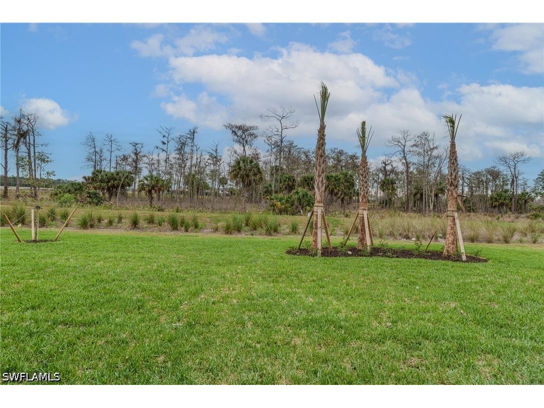 19701 Fox Grove Drive Estero FL 33928 226026115 image37