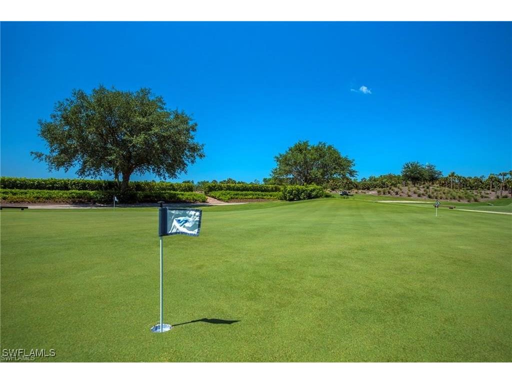 19721 Marino Lake Circle #1002 Miromar Lakes FL 33913 225067455 image46