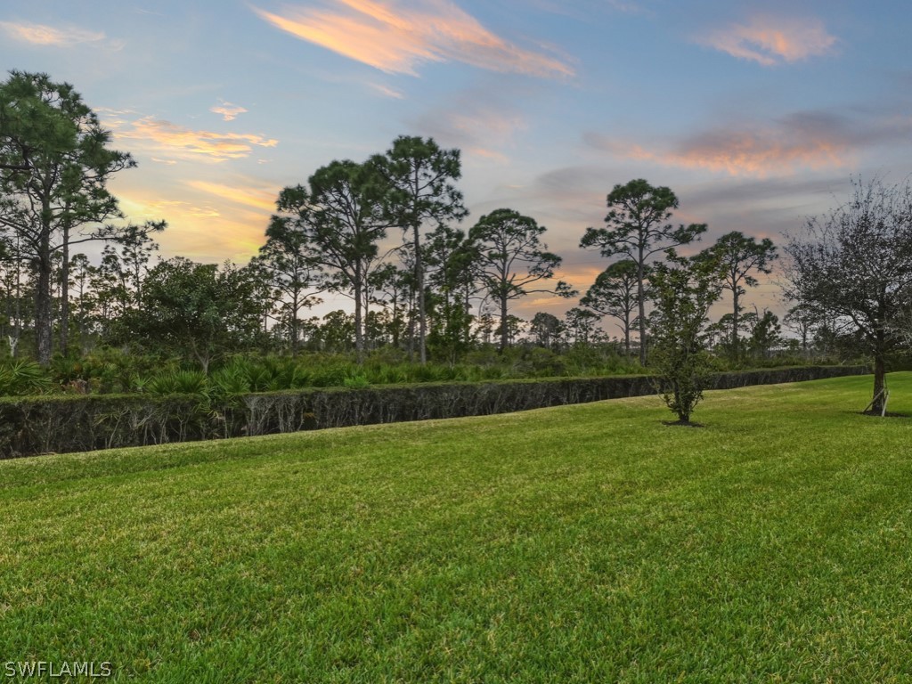 19735 Estero Pointe Lane Fort Myers FL 33908 226008283 image26