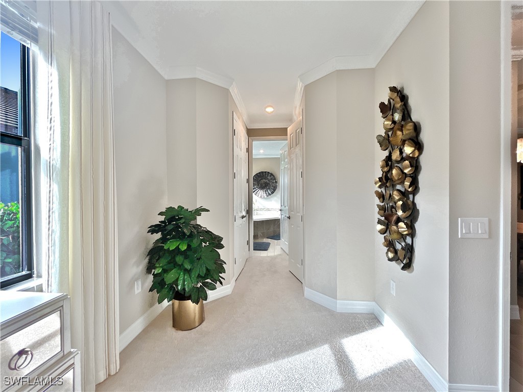 1975 Mustique Street Naples FL 34120 225064850 image22