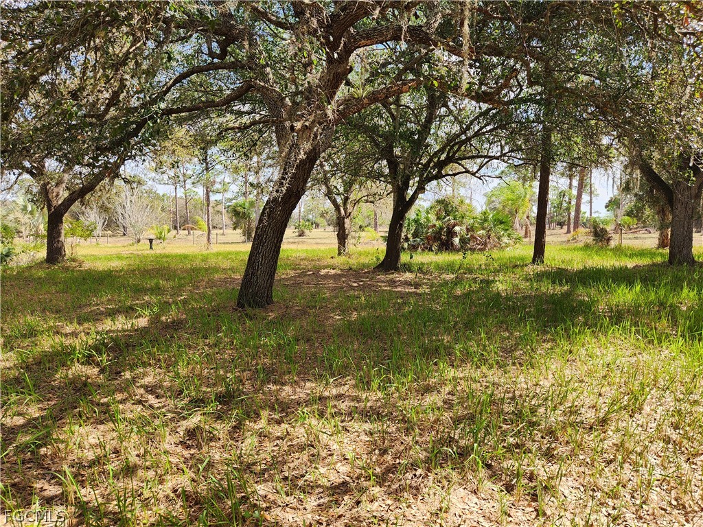 1975 Phillips Road Labelle FL 33935 2026011051 image2