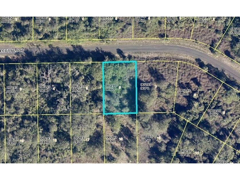 1976 Walcott Loop Lehigh Acres FL 33972 223022258 image1