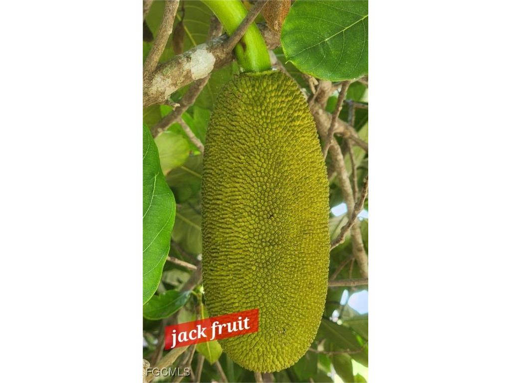 19760 Adams Road Fort Myers FL 33908 2025002373 image28