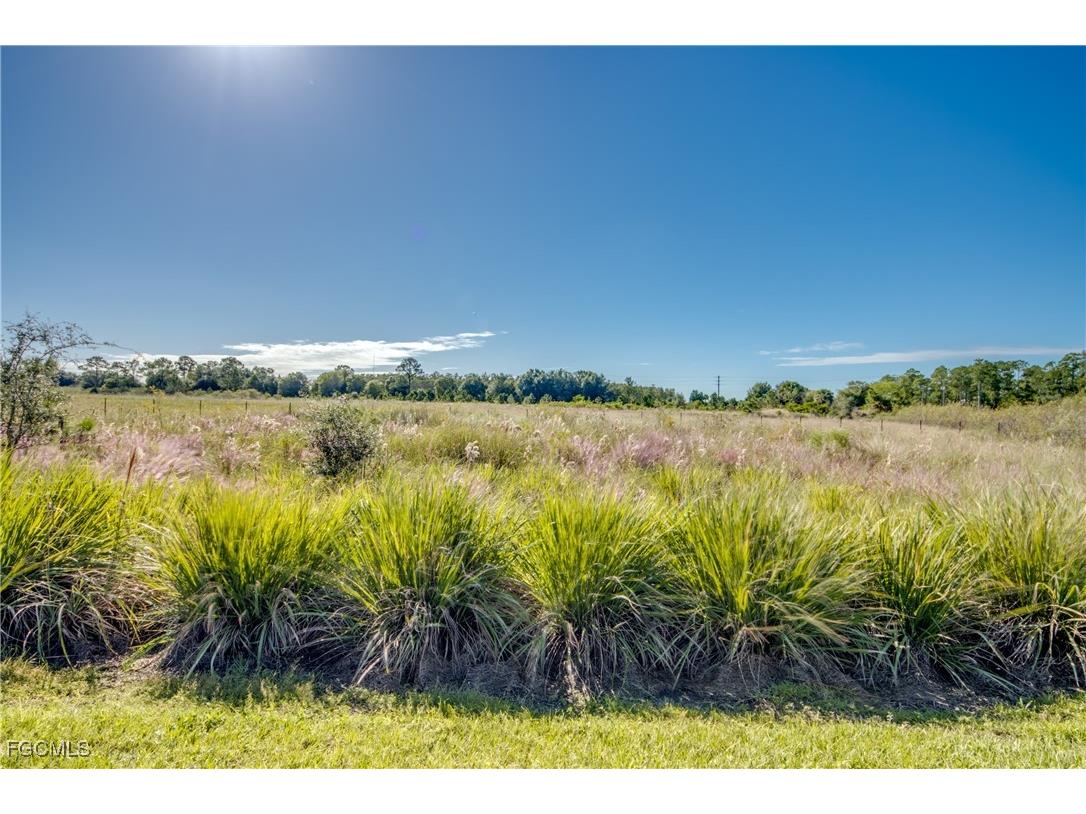 19777 The Place Boulevard Estero FL 33928 2025000774 image28